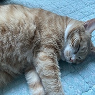 Ĺ��Ʈ �������� ����ġ �̿� �ı�