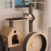   Ͽ콺 Ÿ PMC-6517 ̿ ı