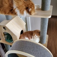   Ͽ콺 Ÿ PMC-6517 ̿ ı