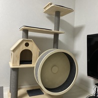   Ͽ콺 Ÿ PMC-6517 ̿ ı