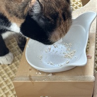 Ĺ���� ������Ŭ�� ������� ġŲ 85g �̿� �ı�