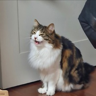 ˸ Ĺ  ġ ¡ ĵ 70g ̿ ı
