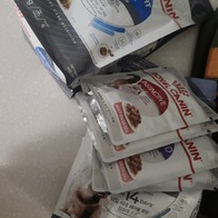 ξĳ ̻ Ʈ Ʈ ɾ 400g ̿ ı