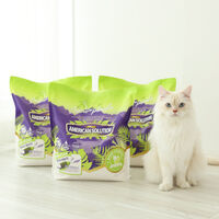 Ƹ޸ĭ ַ  ī 4.55kg x 3